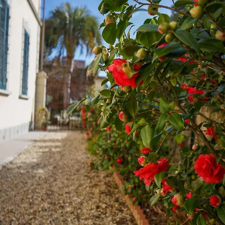 Apartman Appealing In With Terrace Lucca